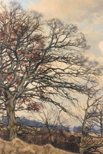 Lade das Bild in den Galerie-Viewer, Alb im Vorfrühling - Otto Neubrand