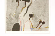 Lade das Bild in den Galerie-Viewer, Radierung - Hans Schreiner (1930)
