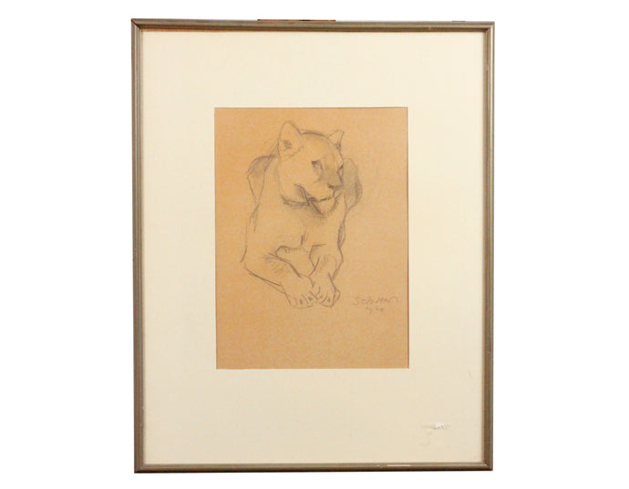 Peter Jakob Schober - Zeichnung einer Löwin